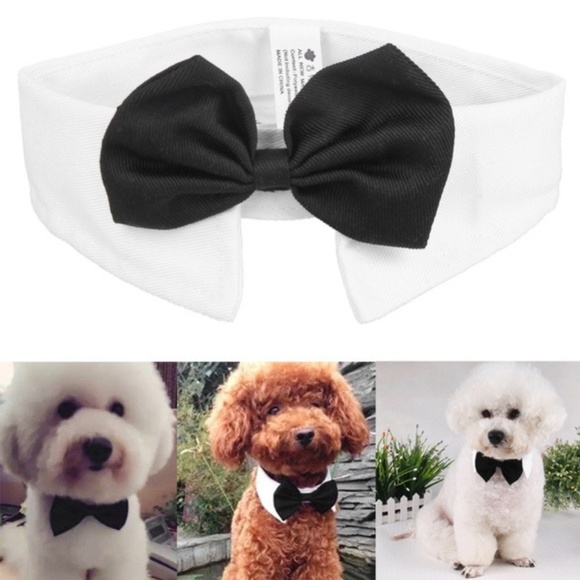 Other - Doogie Howlser Pet Clothing Dog Bow tie